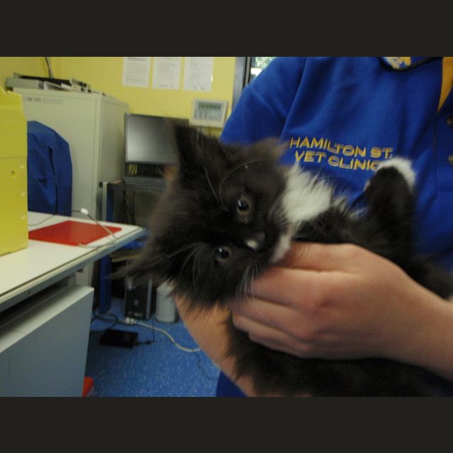 Photo of Jack Sparrow