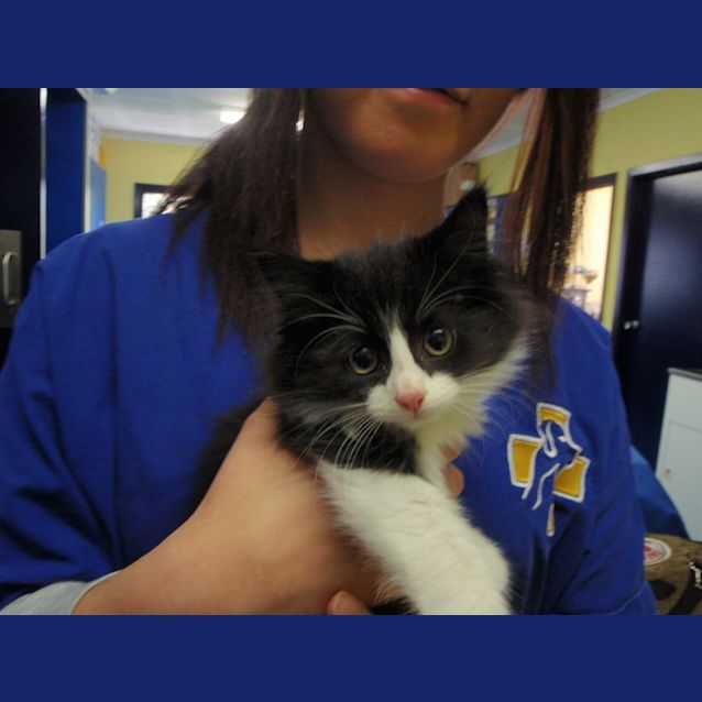 Photo of Will Turner