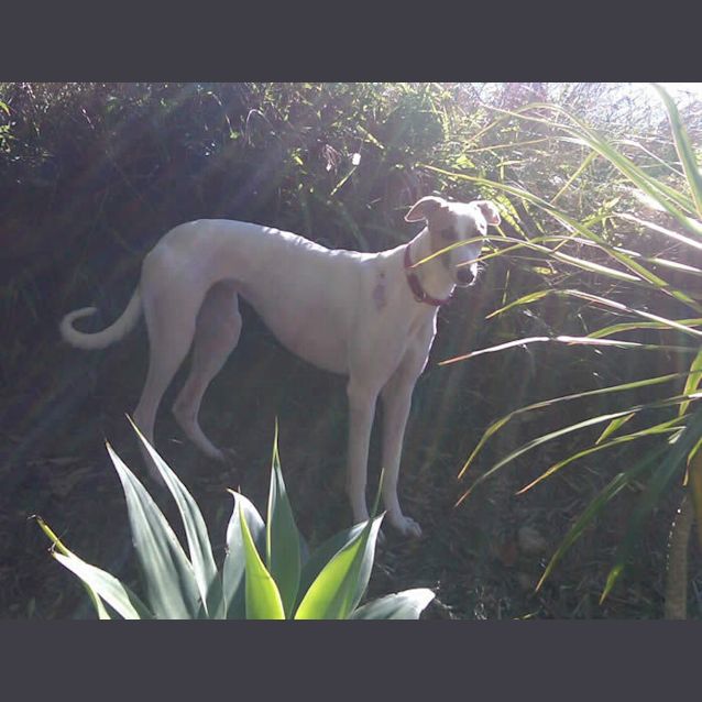 Photo of Dotty
