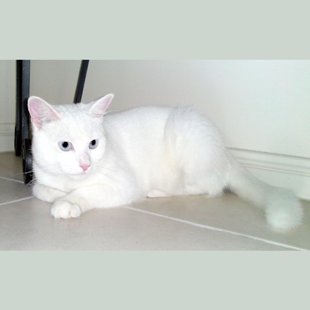 Photo of Storm