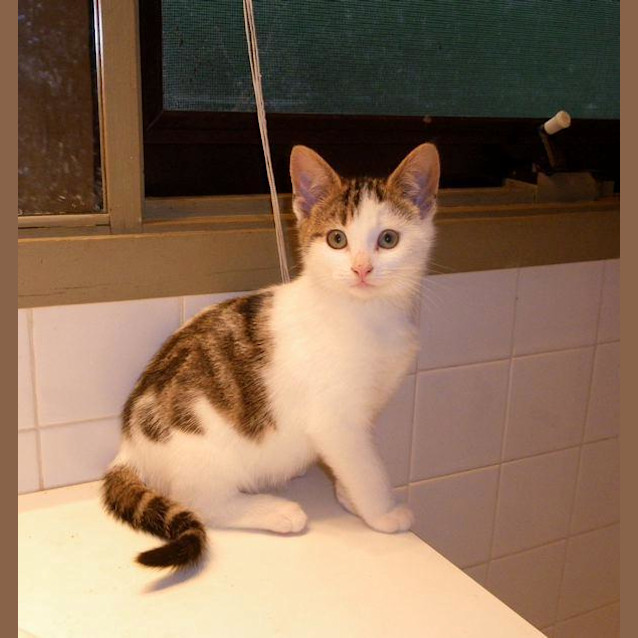 Photo of Liesel