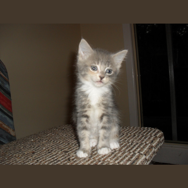 Photo of Darla