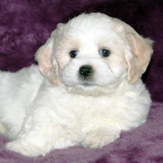 Photo of Edward