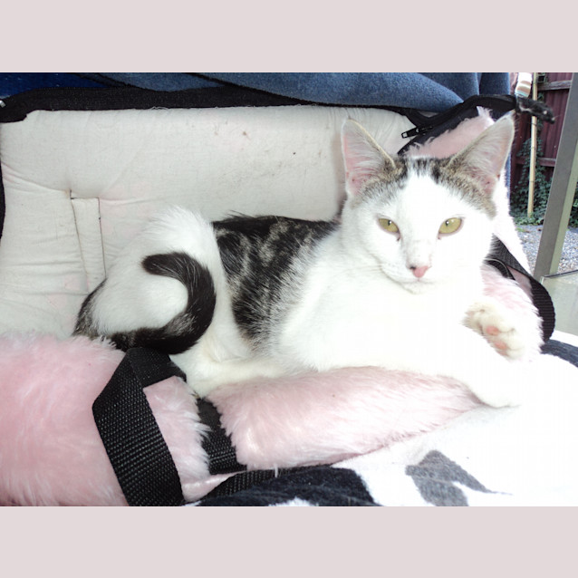 Photo of Little Bella