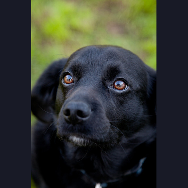 Photo of Jake