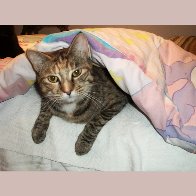 Photo of Claudia