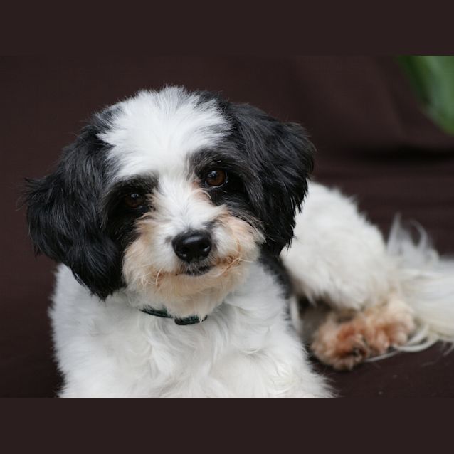 Photo of Melkie