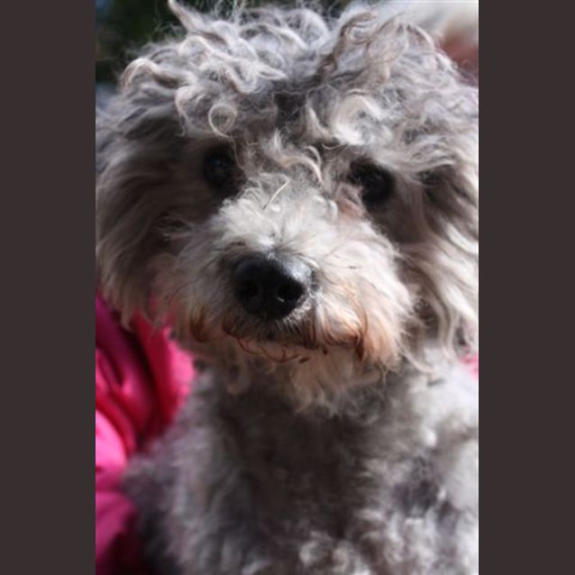 Photo of Raffie