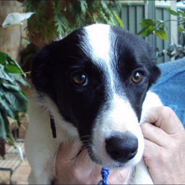 Photo of Tess