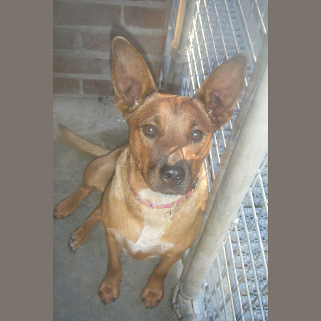 Photo of Sammie