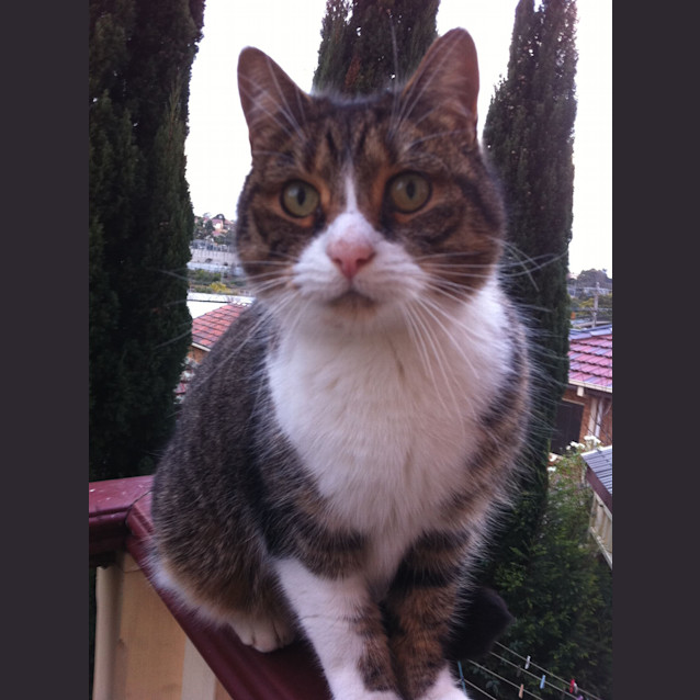 Photo of Jasper