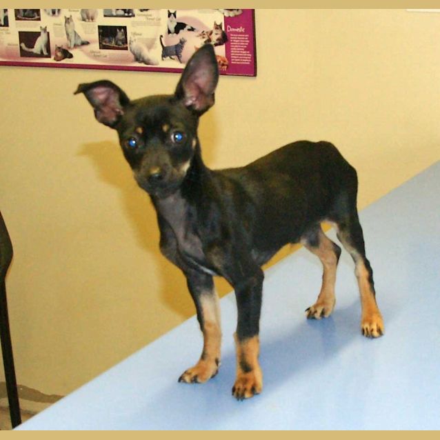 Photo of Rupee