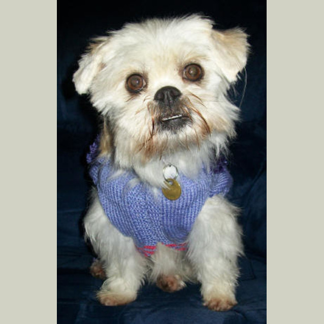 Photo of Madeline