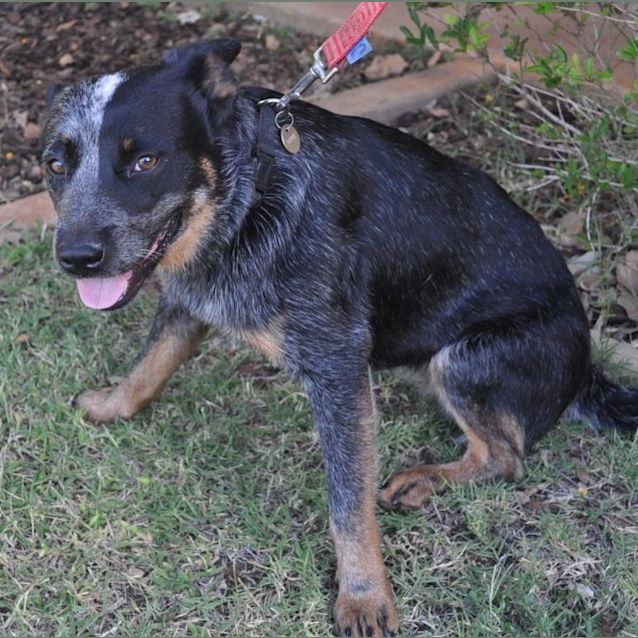 Photo of Marnie (D2211)