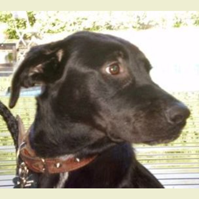 Photo of Lucy
