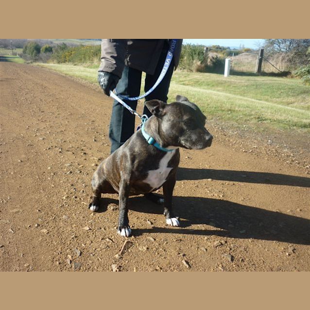 Photo of Roxy 3