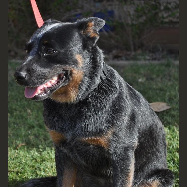 Photo of Marnie (D2211)
