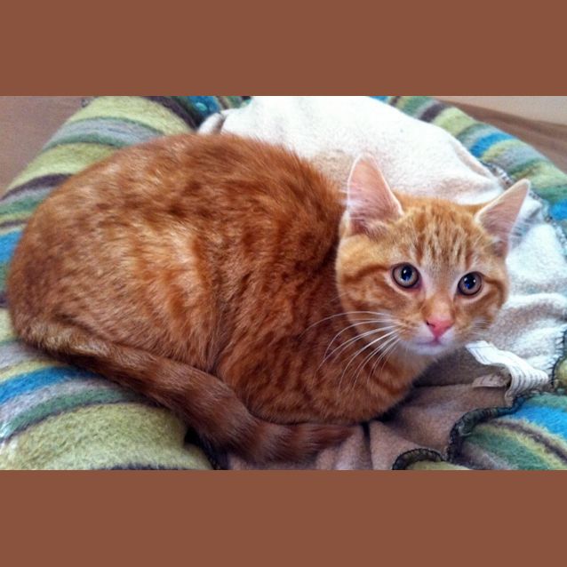 Photo of Reuben   On Trial