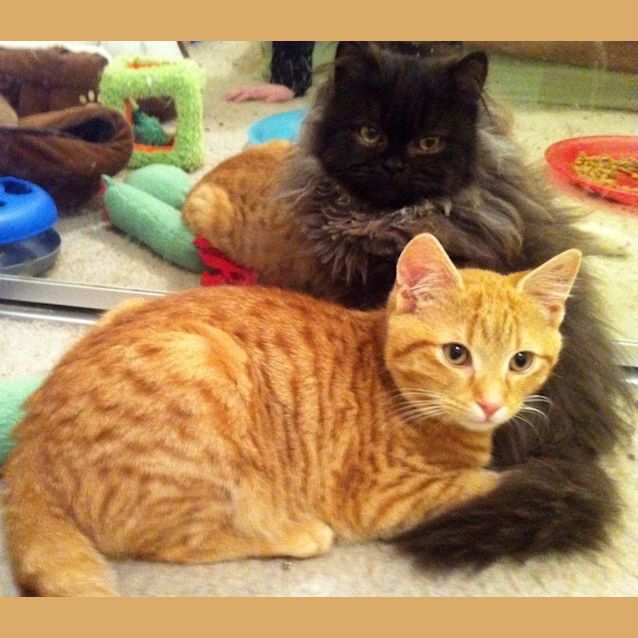 Photo of Reuben   On Trial