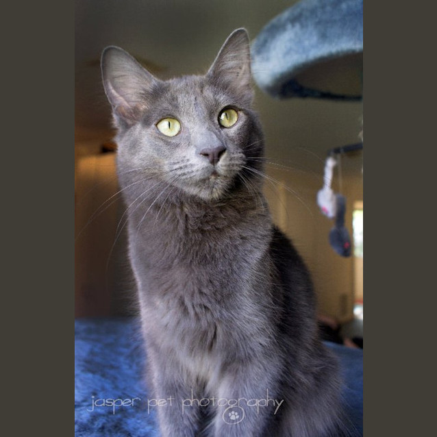 Photo of Epic   On Trial In His New Home!