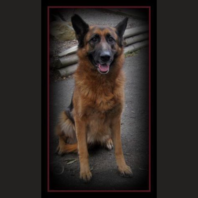 Photo of Sienna On Trial With Her New Family