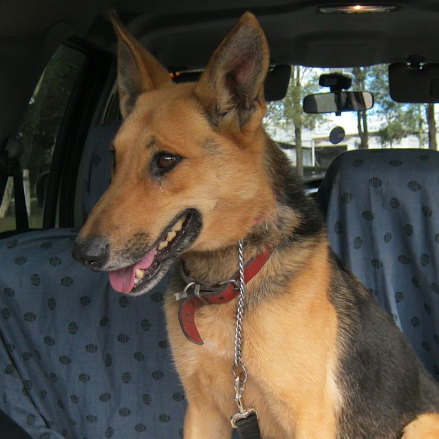 Photo of Tara On Trial With Her New Family