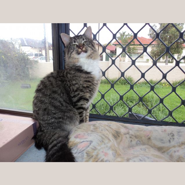 Photo of Oliver