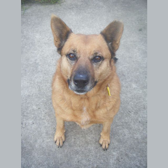 Photo of Zoe