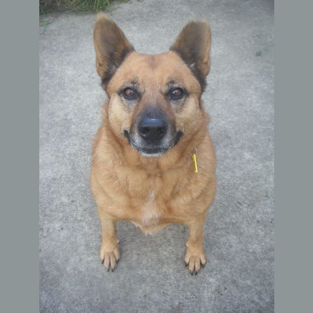 Photo of Zoe