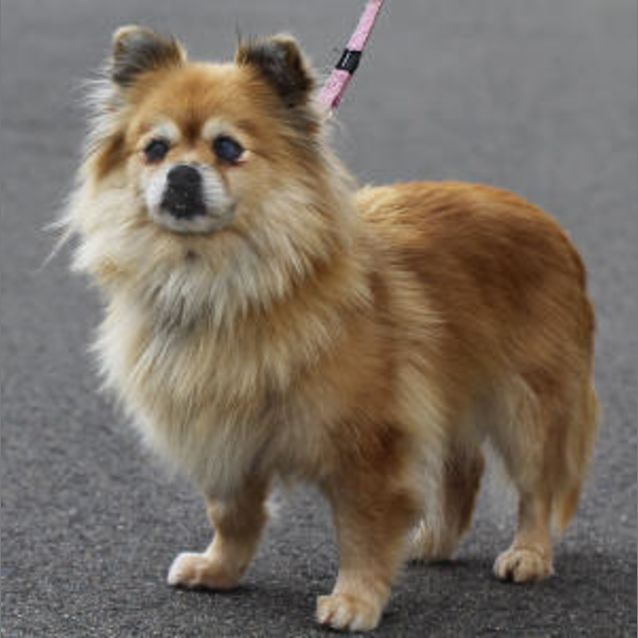 Photo of Celeste