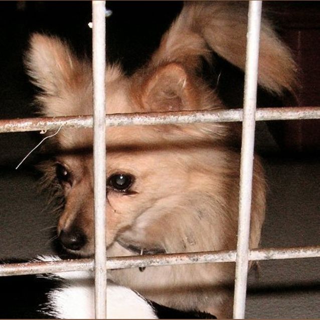 Photo of Nikita