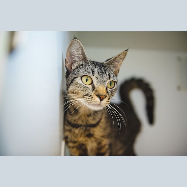 Photo of Lexie