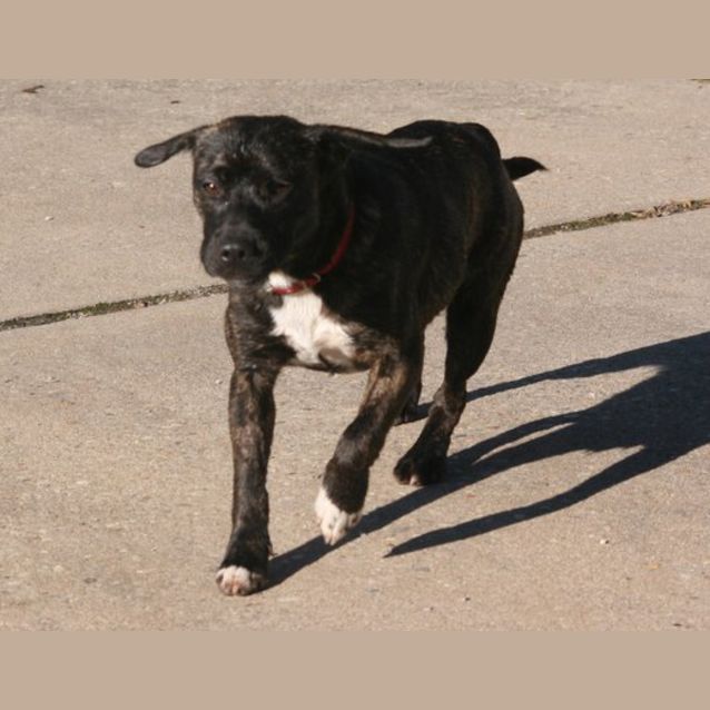 Photo of Daffny