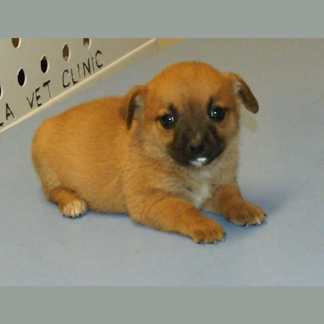 Photo of Sneezy