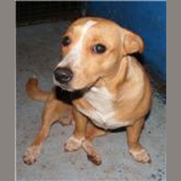 Photo of Mindy