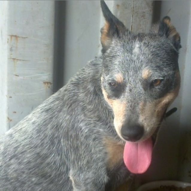 Photo of Abbey *On Trial*