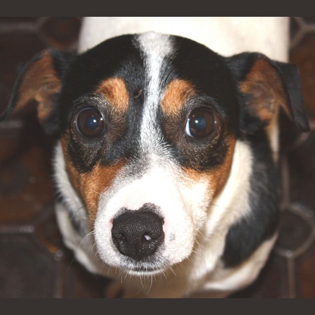Photo of Bobbie