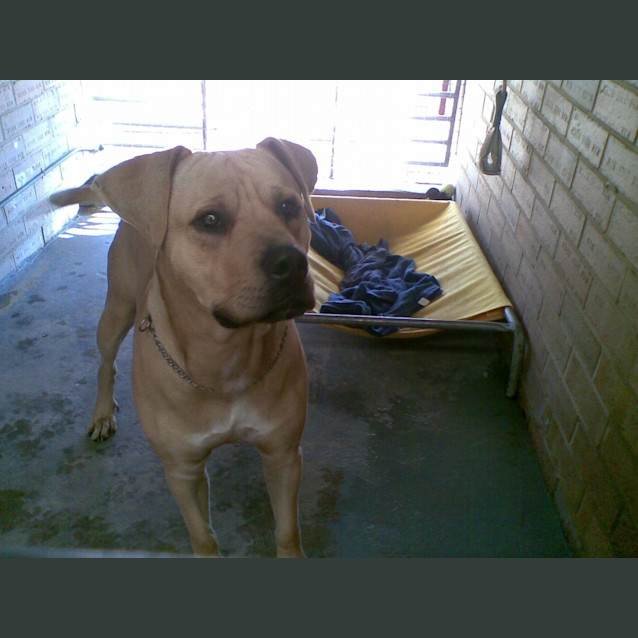 Photo of Rudy
