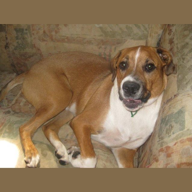 Photo of Lalle