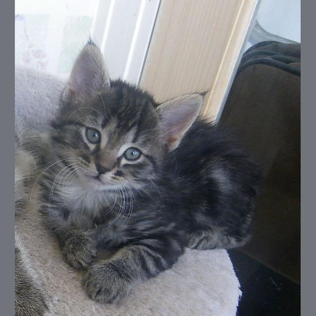 Photo of Muffy