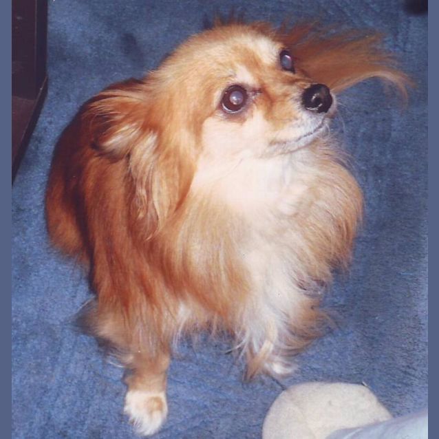 Photo of Sophie