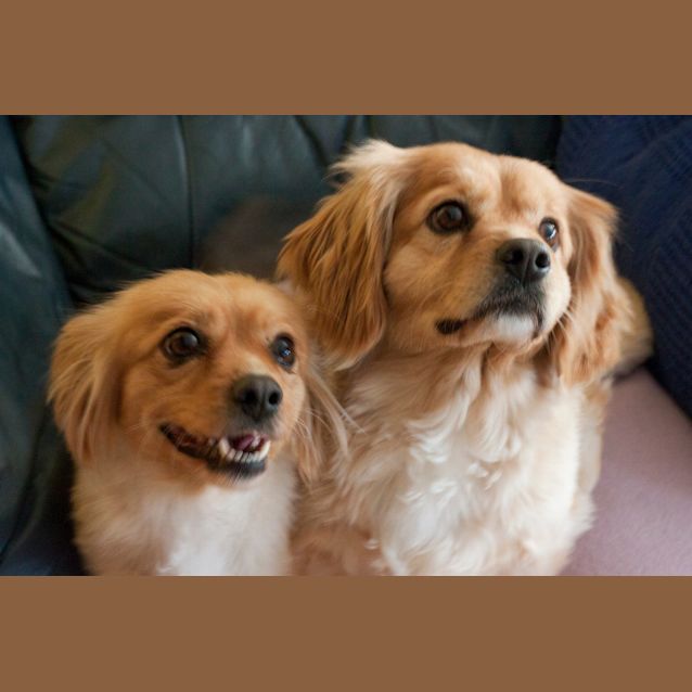 Photo of Benji & Sassi