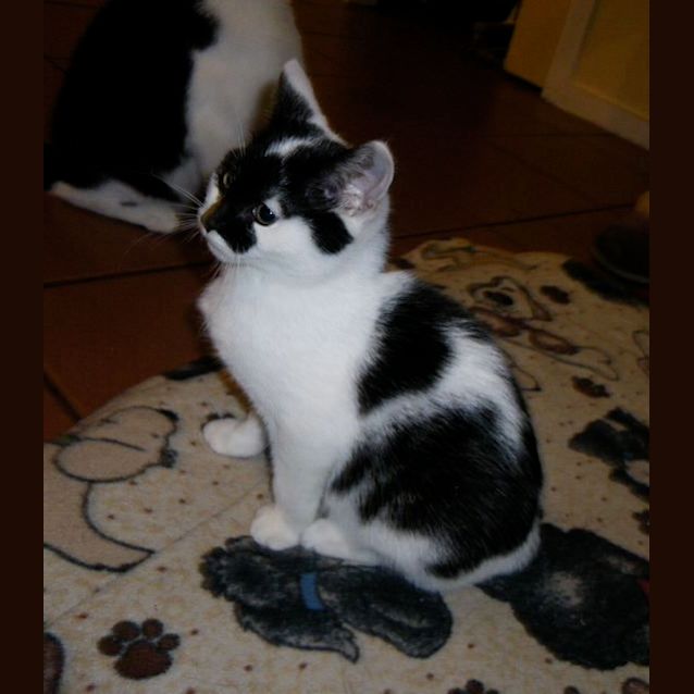 Photo of Buttons