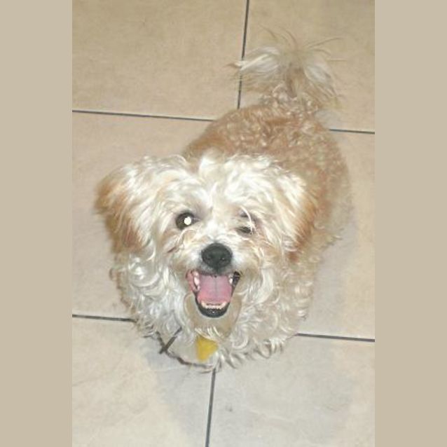 Photo of Barney
