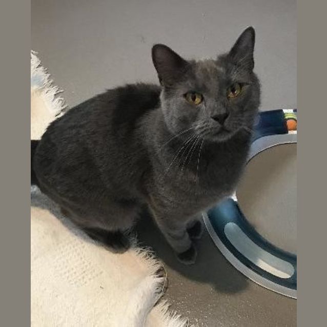 Photo of Tank
