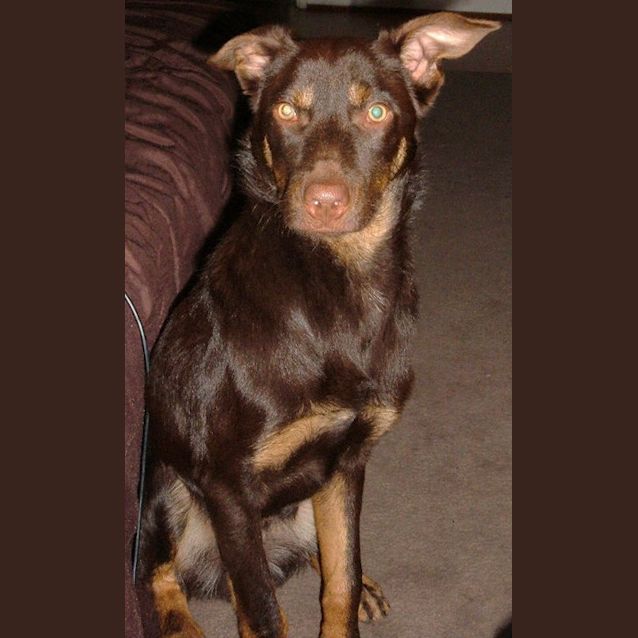 Photo of Jester