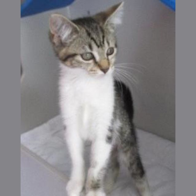 Photo of Beatrix