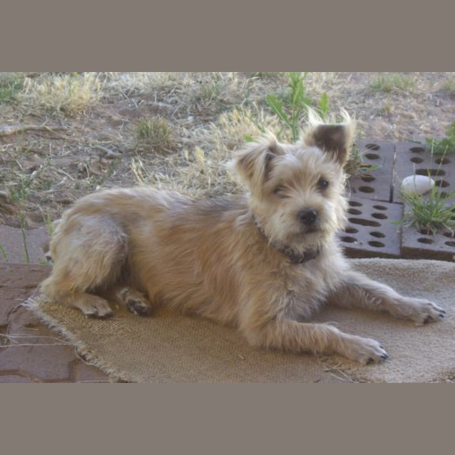 Photo of Willy