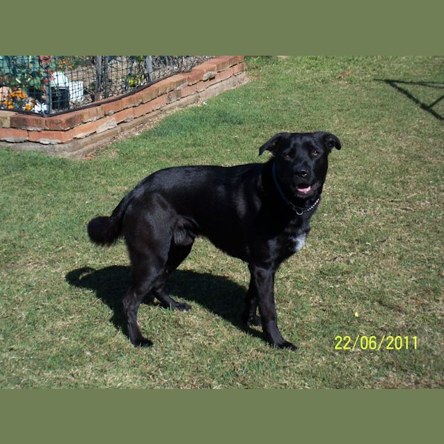 Photo of Jake
