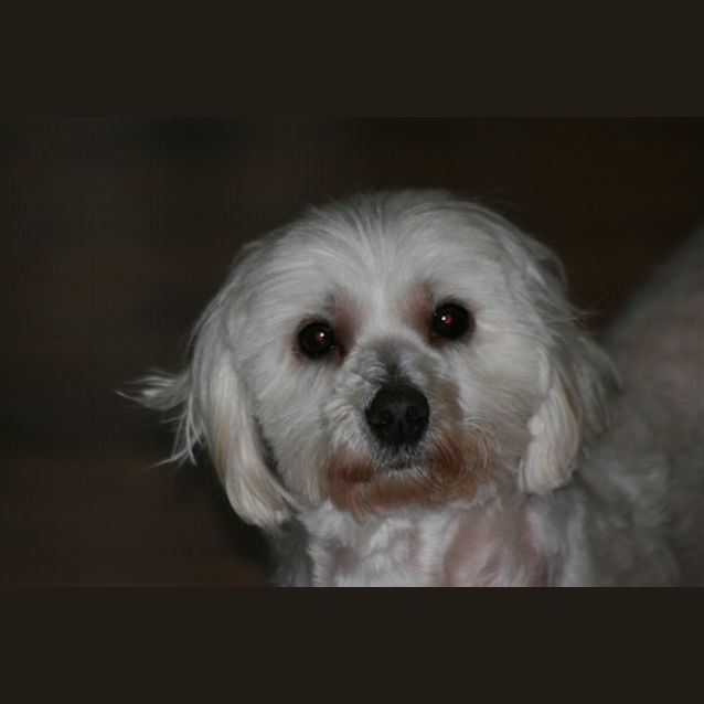 Photo of Faith